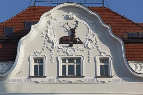zagadka.jpg