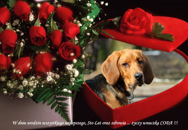 ChangePic.com.jpg