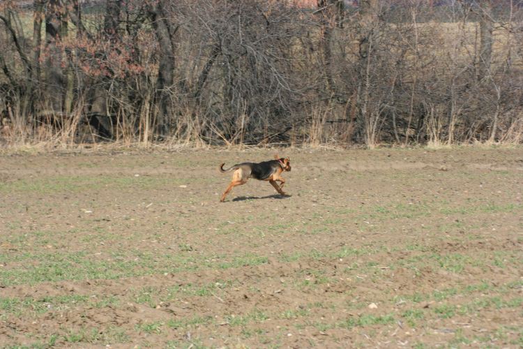 Gładko tak, lekko tak toczy się w dal, jak gdyby to była piłeczka nie stal...