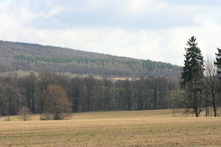 Ostatni dzień zimy.