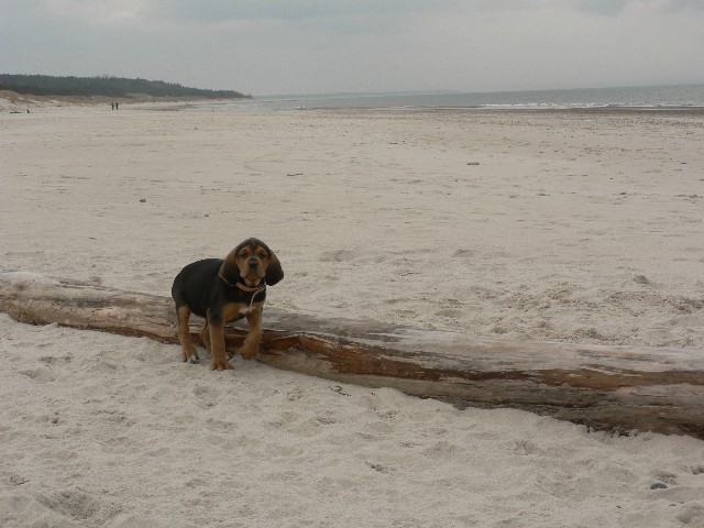 P1190822.JPG