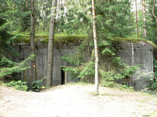 zagadka.jpg