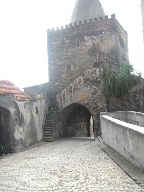 DSCN0120.jpg