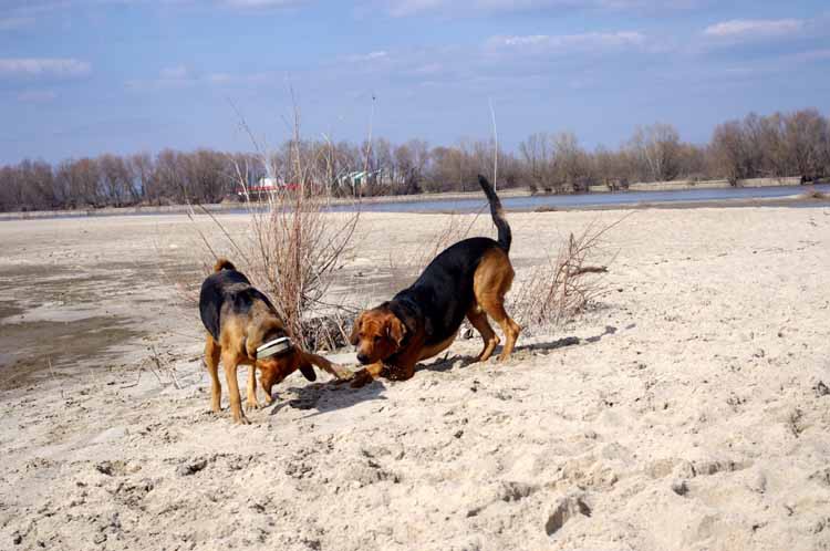 DobraBAWIĘsie.jpg