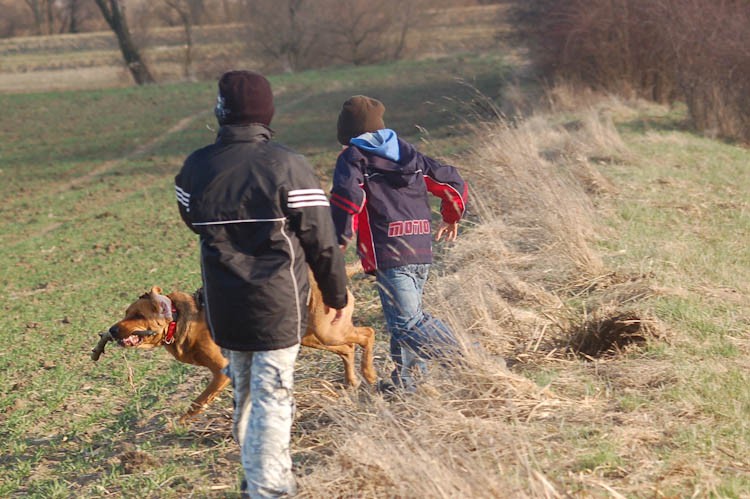 ...a może nie poleżę, skoro tak wam się spieszy....