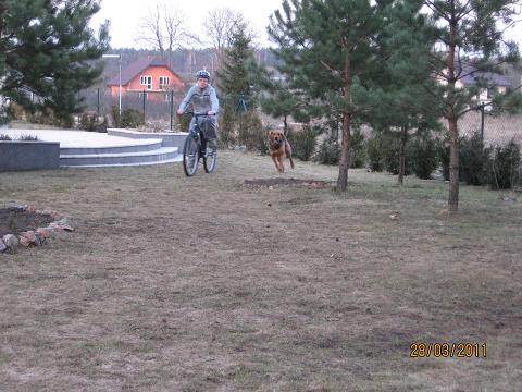 Kolarstwo