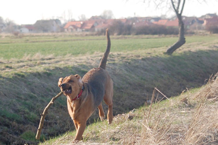 spacer (45 of 87).jpg