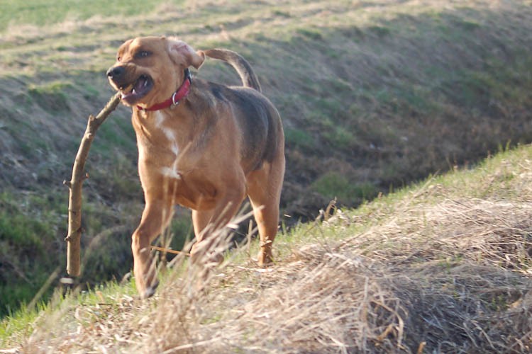 spacer (46 of 87).jpg
