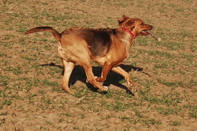spacer (50 of 87).jpg