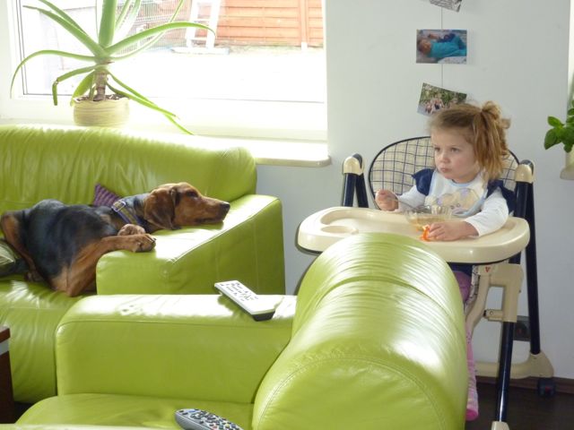 P1010795.jpg