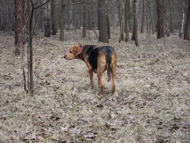 IMG_8683.JPG