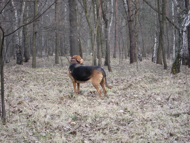 IMG_8684.JPG