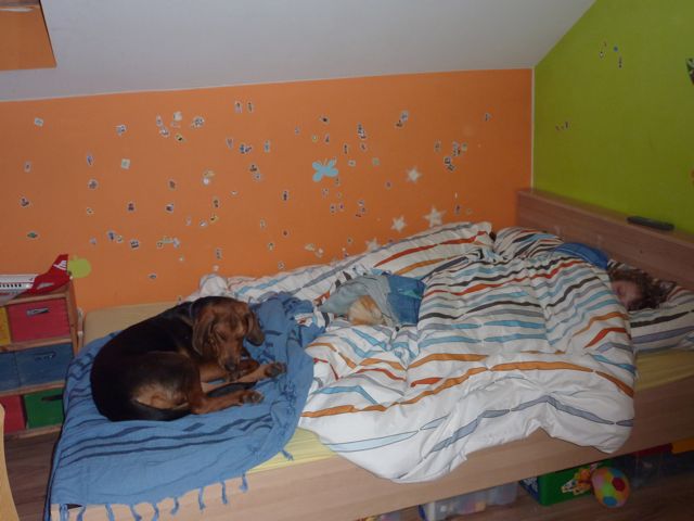 P1010850.jpg
