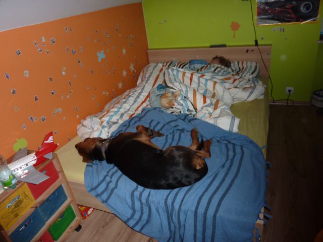 P1010852.jpg