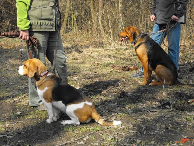 DSCF5035.JPG