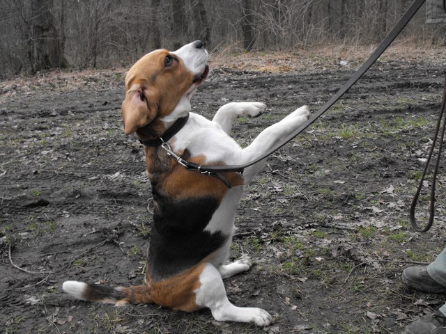 DSCF5040.JPG