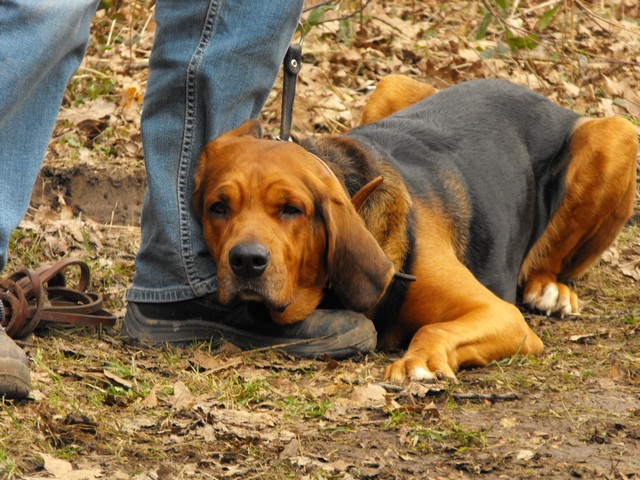 DSCF5047.JPG