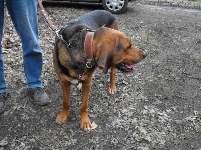 DSCF5049.JPG