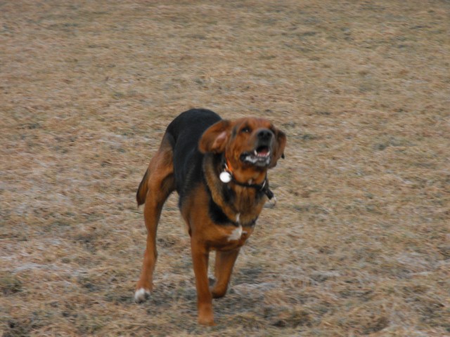 DSCF5063.JPG