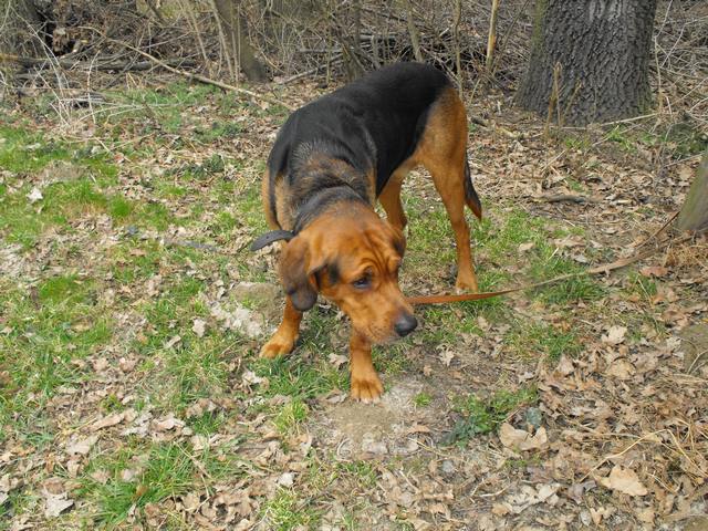 DSCF5106.JPG