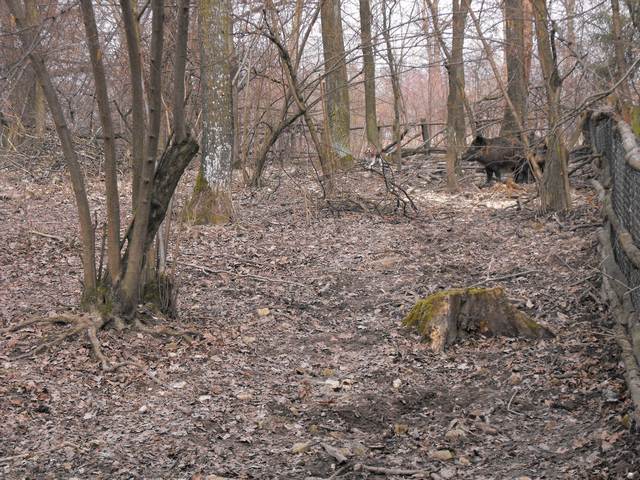 DSCF5109.JPG