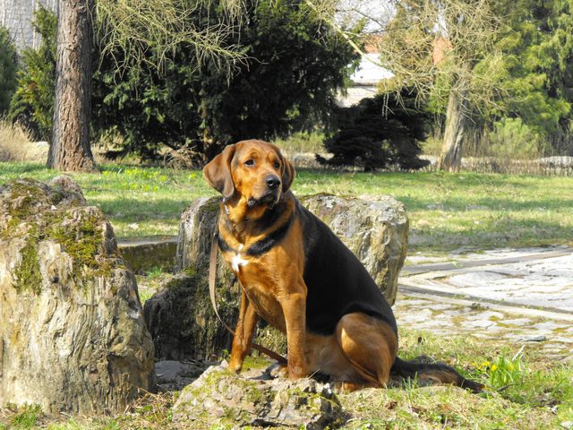 DSCF5071.JPG