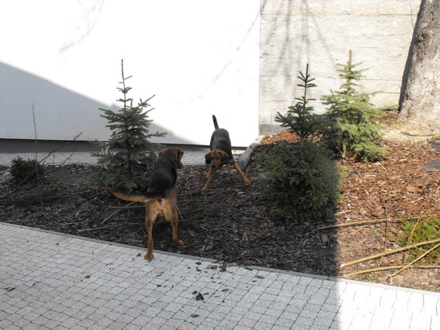 DSCF5076.JPG