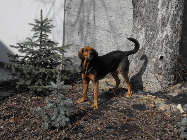 DSCF5078.JPG