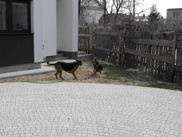 DSCF5083.JPG