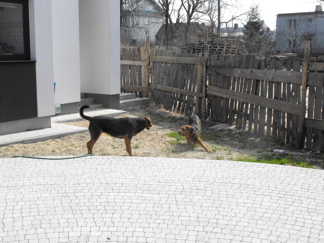 DSCF5084.JPG