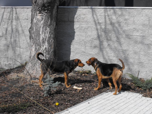 DSCF5087.JPG