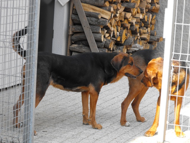 DSCF5089.JPG