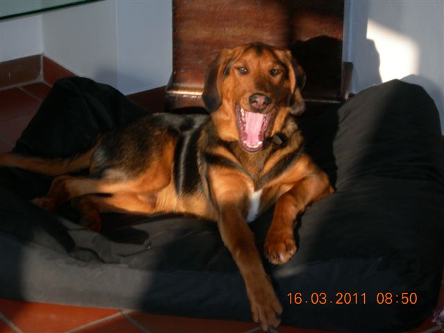 DSCN3034.JPG