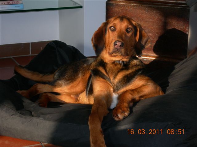 DSCN3036.JPG