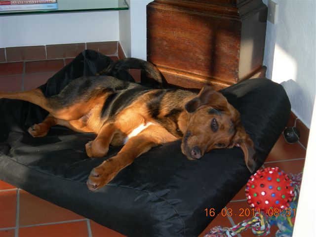 DSCN3037.JPG