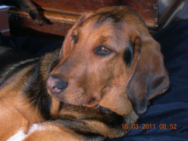 DSCN3038.JPG