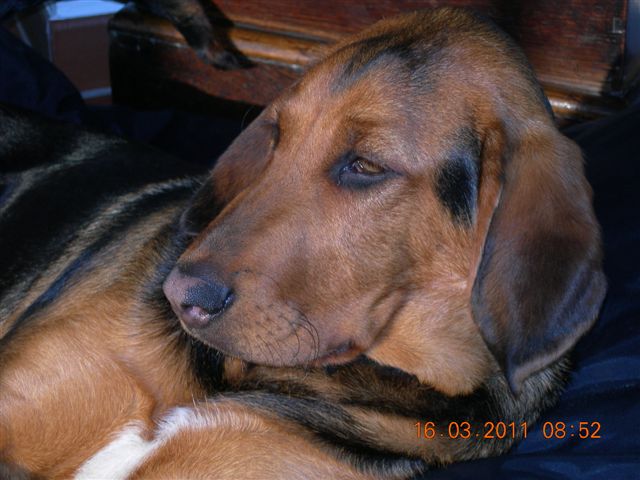DSCN3039.JPG