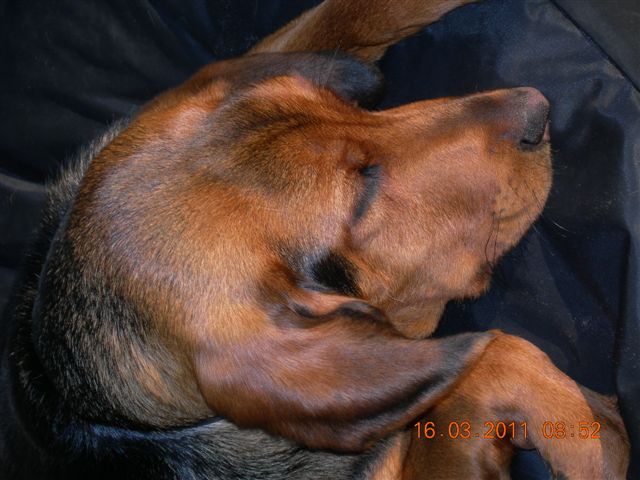 DSCN3040.JPG