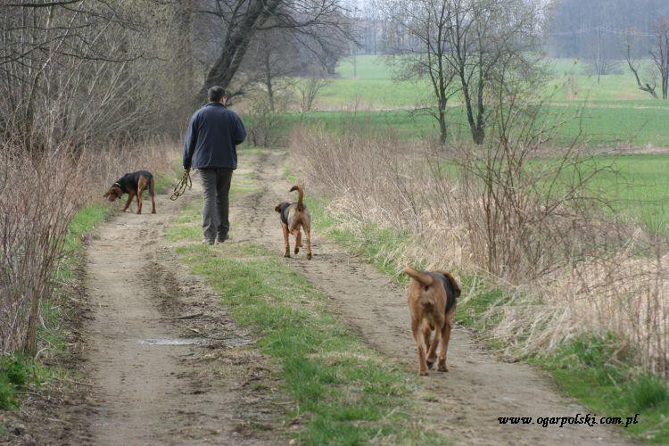 w siną dal, w siną dal, to dla ogarów które idą w siną dal...