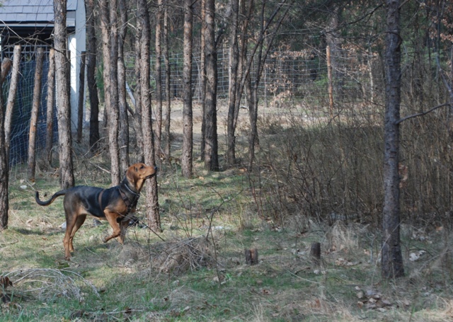 DSC_1034.JPG