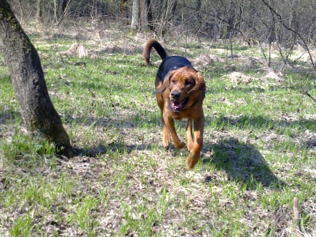 Gotowe!