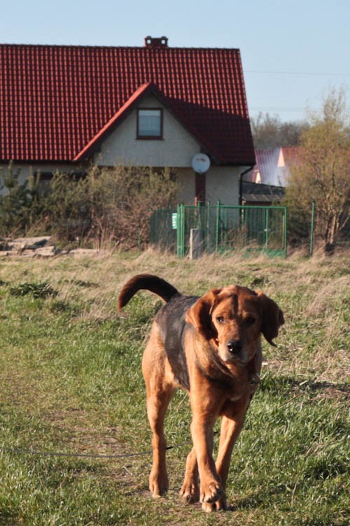 Jestem taka grzeczna!