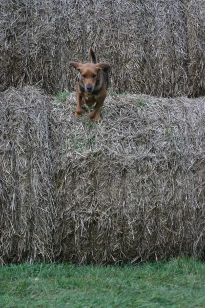 jesień 097.jpg