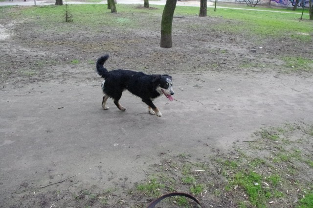 IMGP2482_zmniejszacz-pl_852423bez.jpg