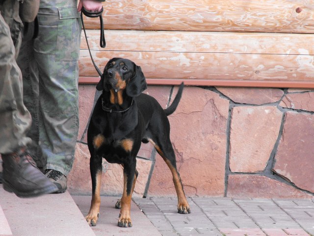 DSCF5008.JPG