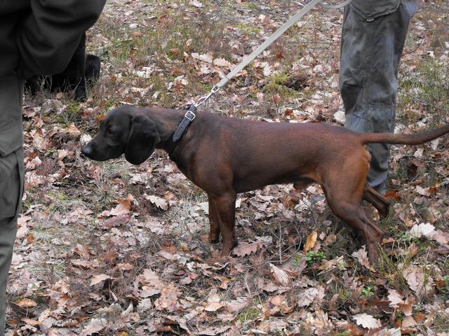 DSCF5033.JPG