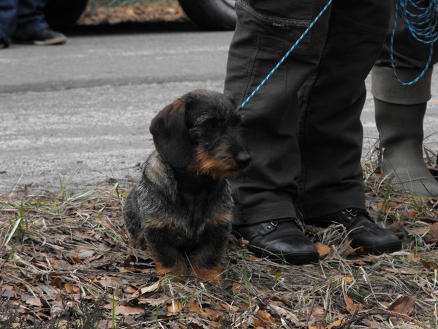 DSCF5034.JPG