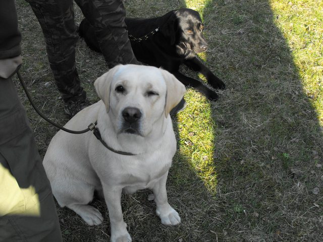 DSCF5069.JPG