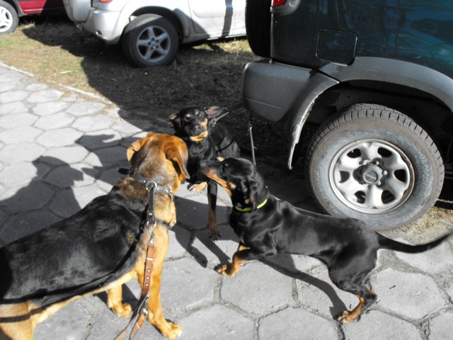 DSCF5062.JPG