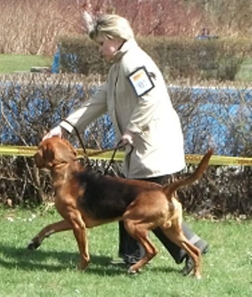 chudziak.jpg